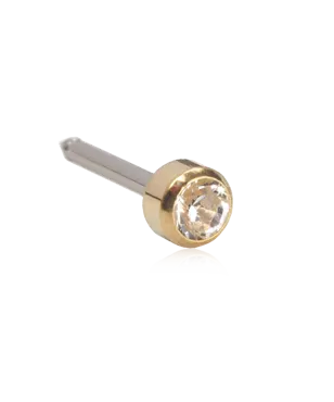 12-5301-01 Blomdahl® Golden Titanium Ohrpiercing (4mm, Lang)