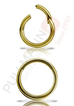 18K Gold Segmentring