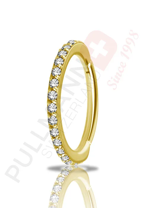 18K Gold Segmentring mit Zirkonia