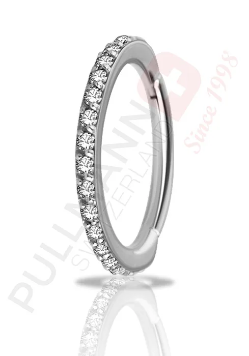 Segmentring mit Zirkonia
