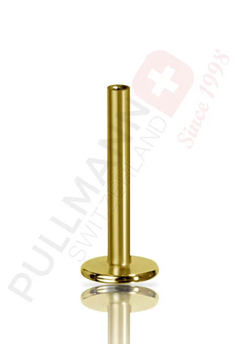 Gold PVD Micro Labret (internal)
