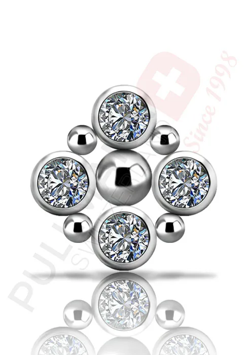 Titan Cluster Micro Aufsatz mit Zirkonia